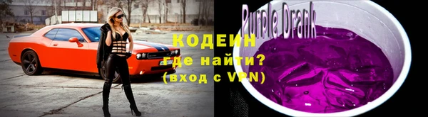 spice Богородицк