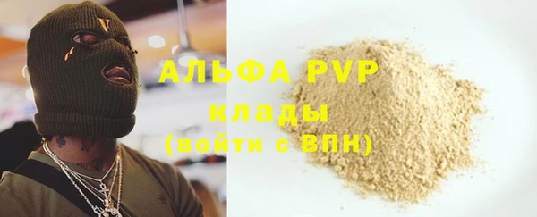spice Богородицк