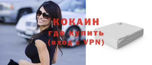 молекула духа Бородино
