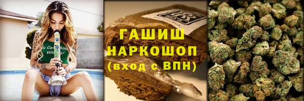 spice Богородицк