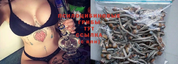 молекула духа Бородино
