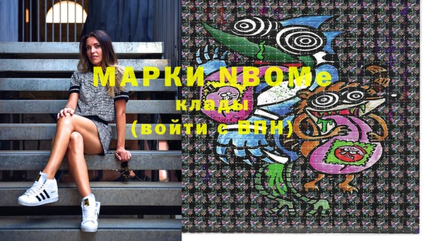 spice Богородицк