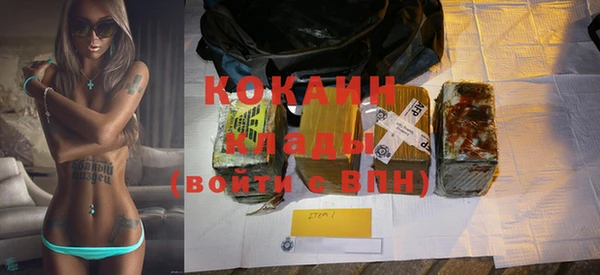 spice Богородицк