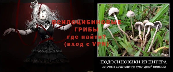 COCAINE Богданович