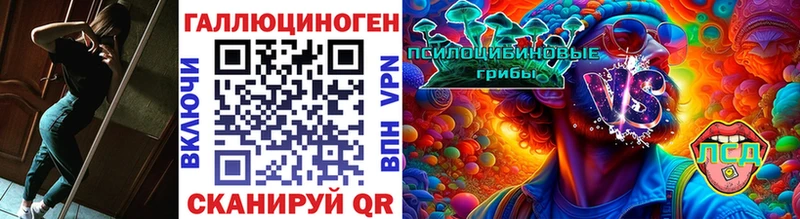 Галлюциногенные грибы Psilocybe  купить  сайты  Белоусово 